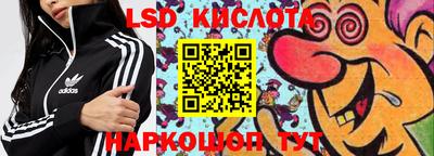 ГАЛЛЮЦИНОГЕННЫЕ ГРИБЫ Нальчик