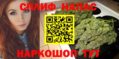ГАЛЛЮЦИНОГЕННЫЕ ГРИБЫ Нальчик